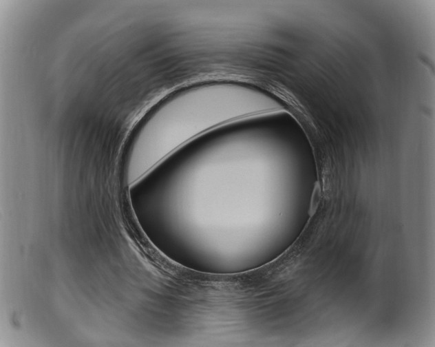 X0000099950436200805231005