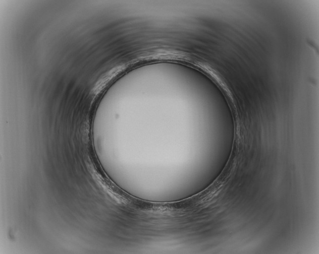 X0000099950437200805231005