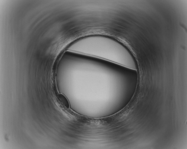 X0000099950439200805231005