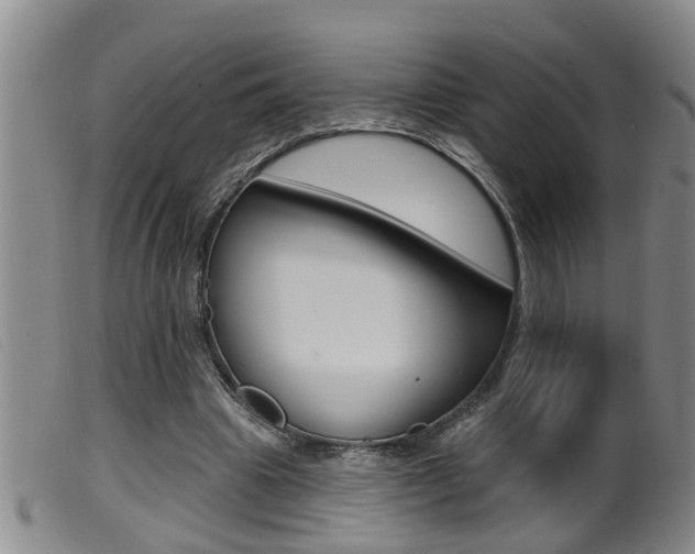X0000099950441200805231005