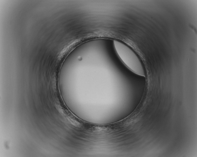 X0000099950442200805231005