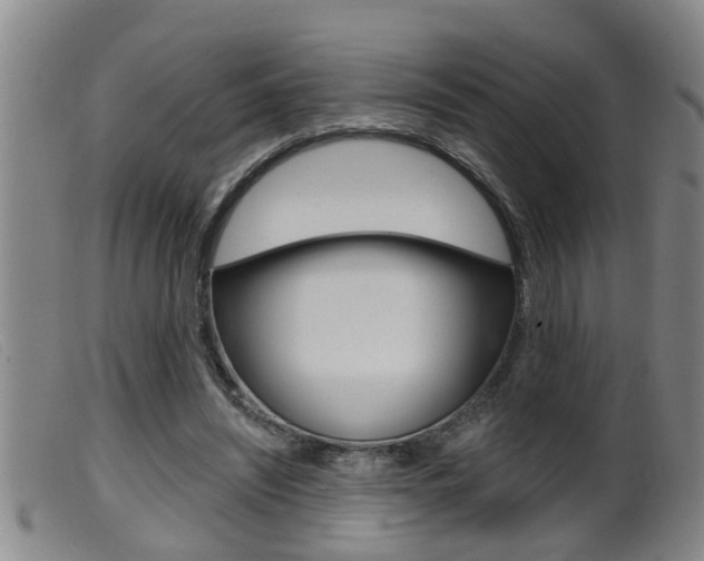 X0000099950444200805231005
