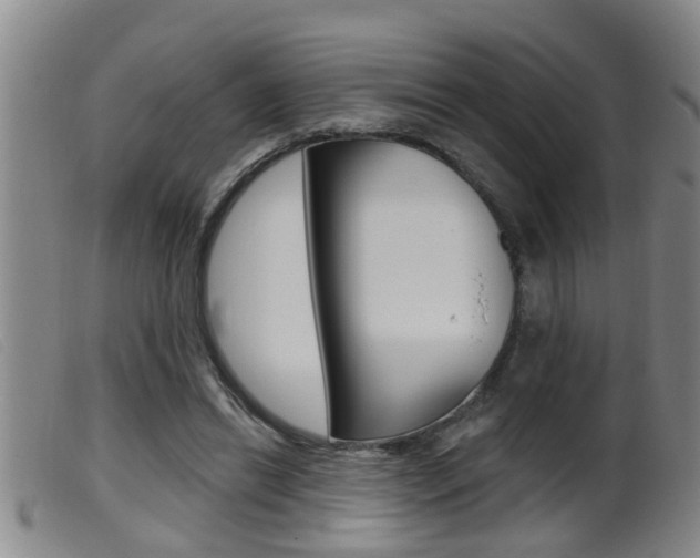 X0000099950446200805231005