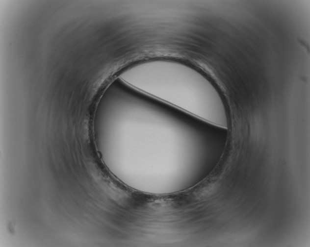 X0000099950447200805231005