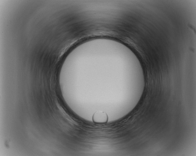 X0000099950448200805231005