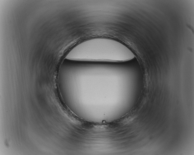 X0000099950450200805231005
