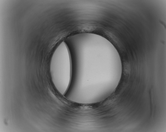 X0000099950451200805231005