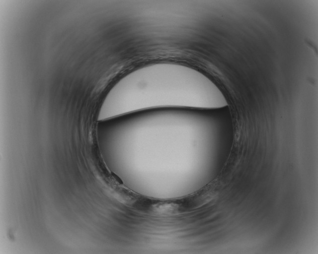 X0000099950452200805231005