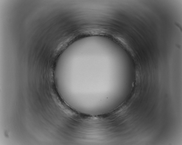 X0000099950453200805231005