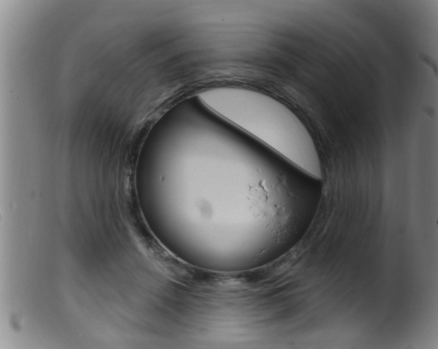 X0000099950456200805231005