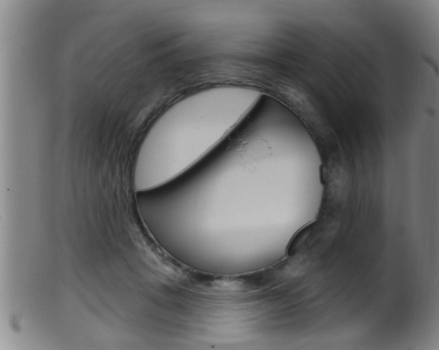 X0000099950457200805231005