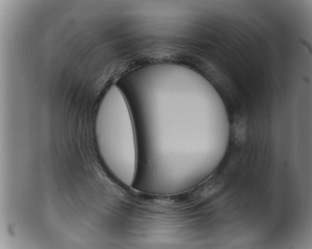 X0000099950458200805231005