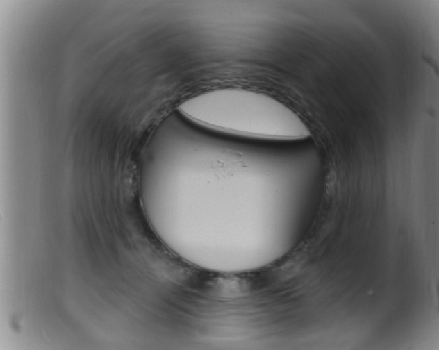 X0000099950464200805231005