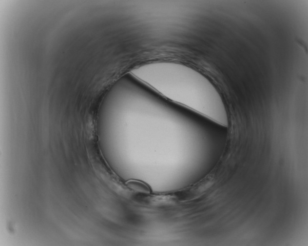 X0000099950465200805231005