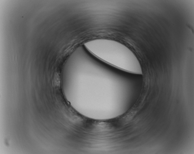X0000099950467200805231006