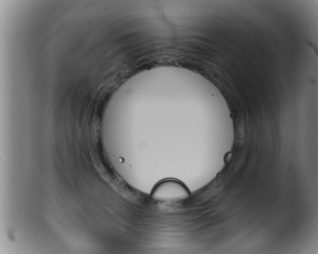 X0000099950468200805231006