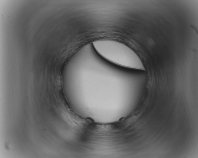 X0000099950469200805231006