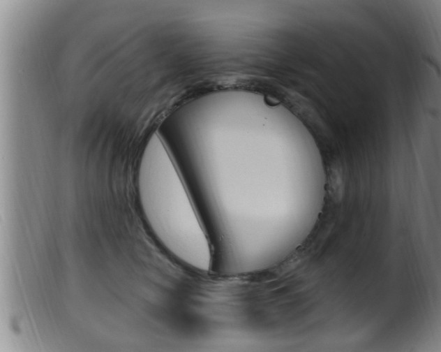 X0000099950470200805231006