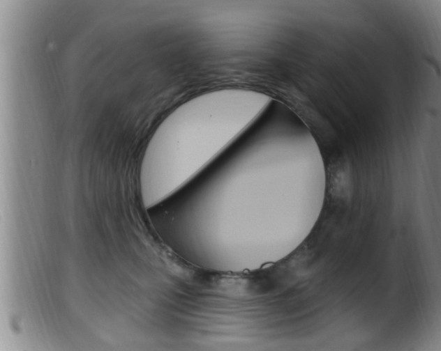 X0000099950471200805231006