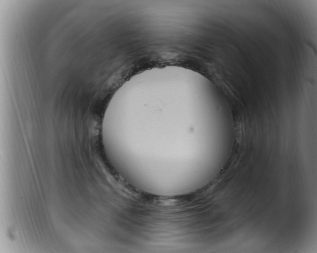 X0000099950472200805231006