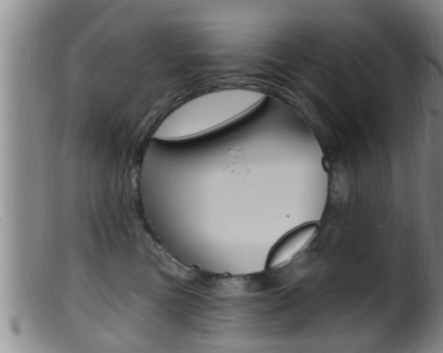 X0000099950473200805231006