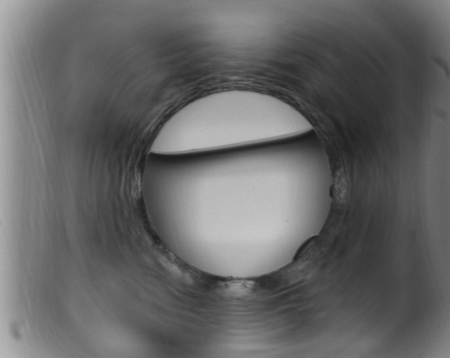 X0000099950474200805231006