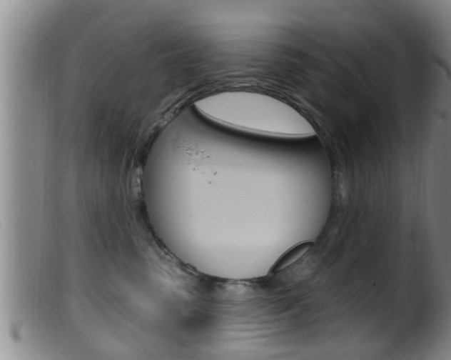 X0000099950475200805231006