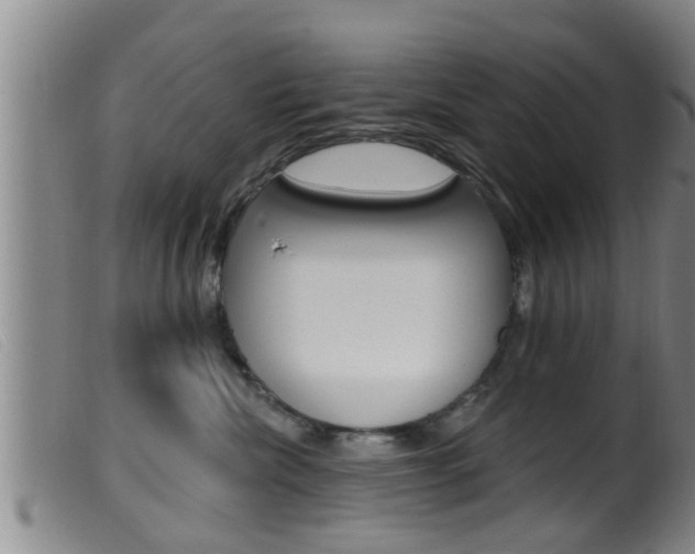 X0000099950476200805231006
