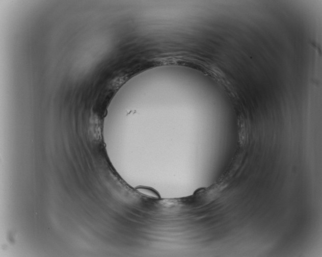 X0000099950477200805231006