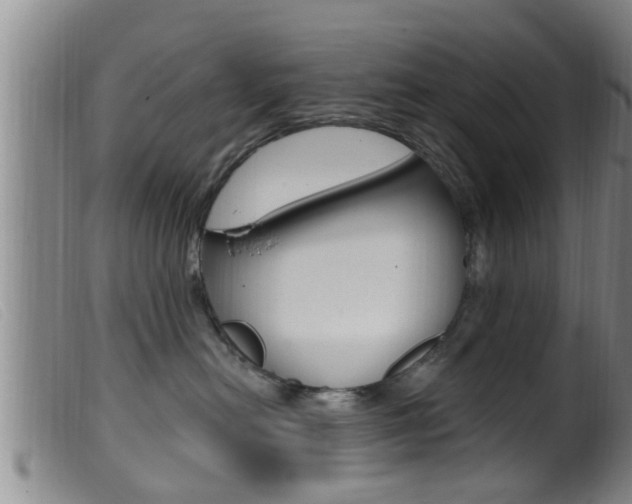 X0000099950478200805231006