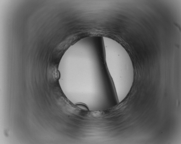 X0000099950479200805231006