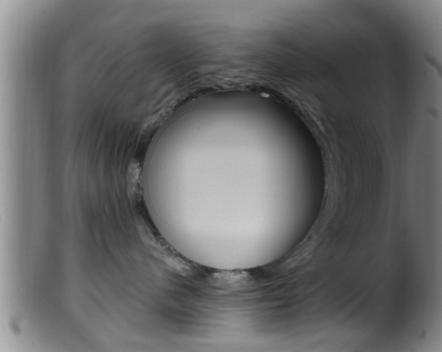 X0000099950480200805231006