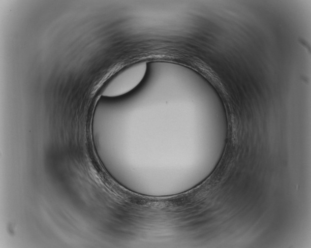 X0000099950482200805231005