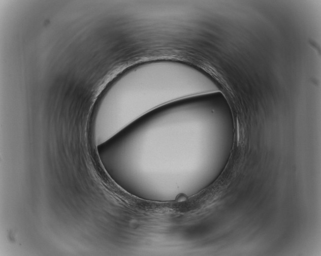 X0000099950483200805231005