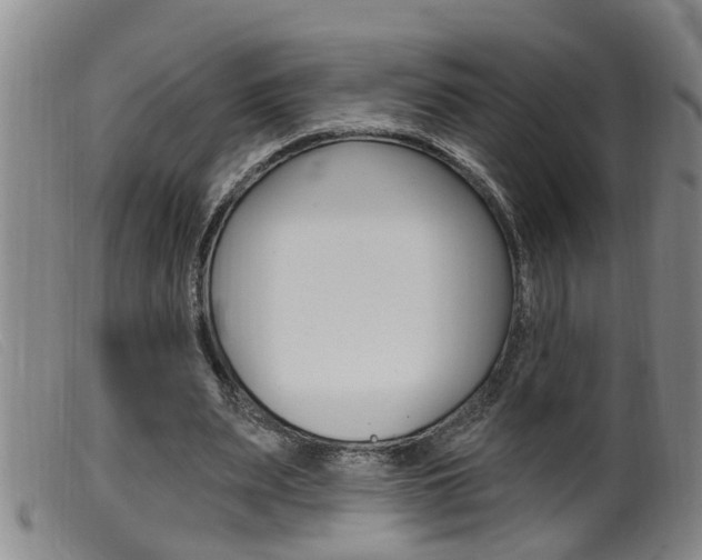 X0000099950487200805231005
