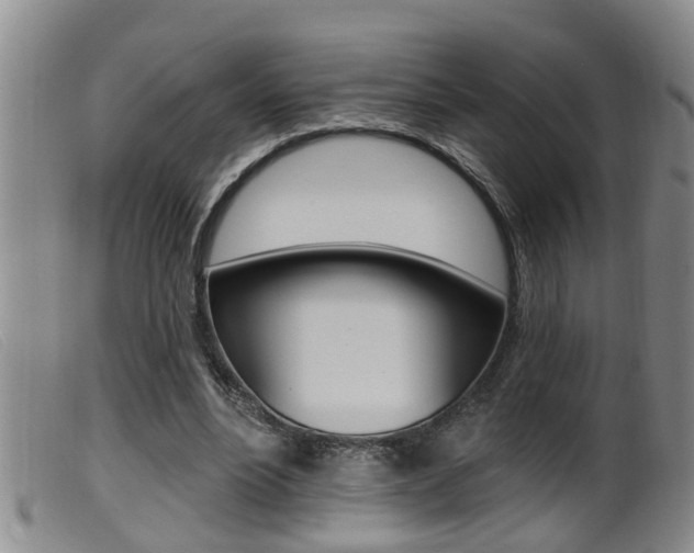 X0000099950488200805231005