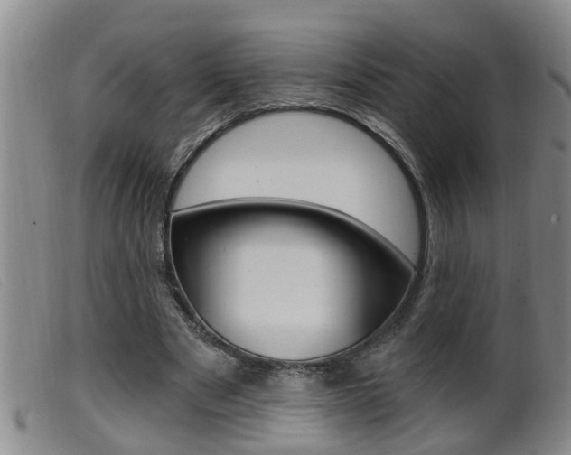 X0000099950489200805231005