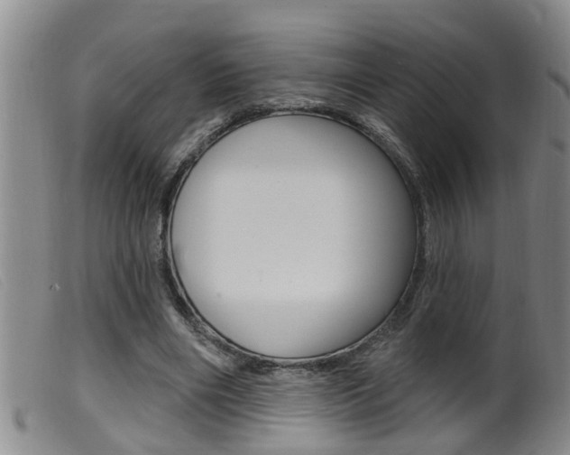 X0000099950490200805231005