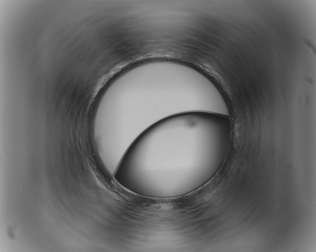 X0000099950492200805231005