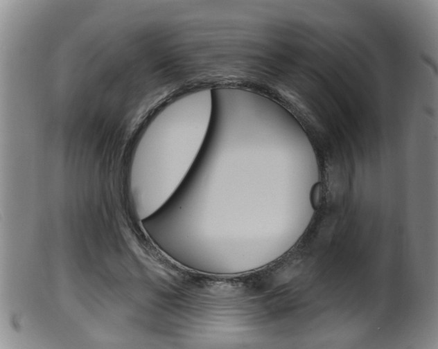 X0000099950494200805231005