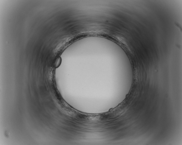 X0000099950495200805231005