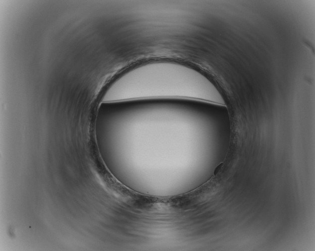 X0000099950496200805231005