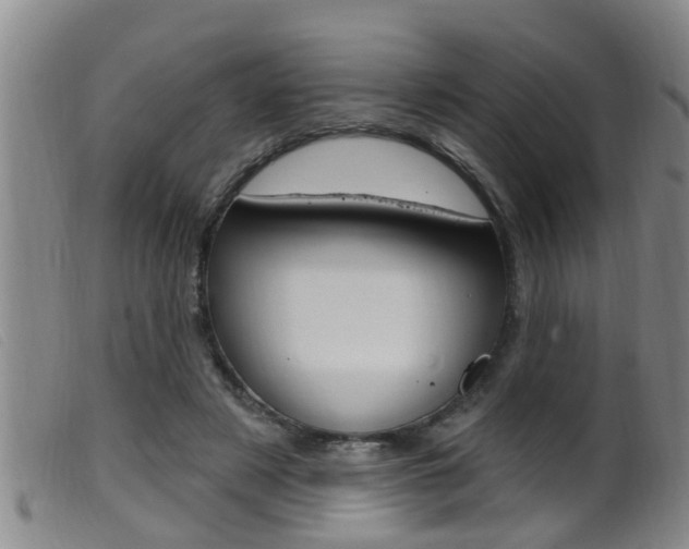 X0000099950497200805231005
