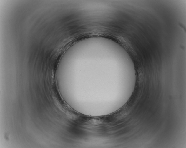 X0000099950498200805231005