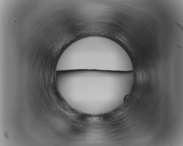 X0000099950499200805231005