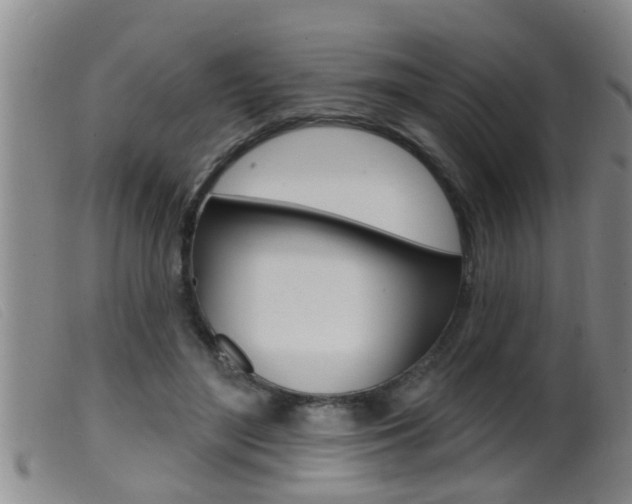 X0000099950500200805231005