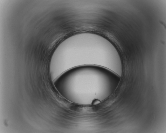 X0000099950501200805231005
