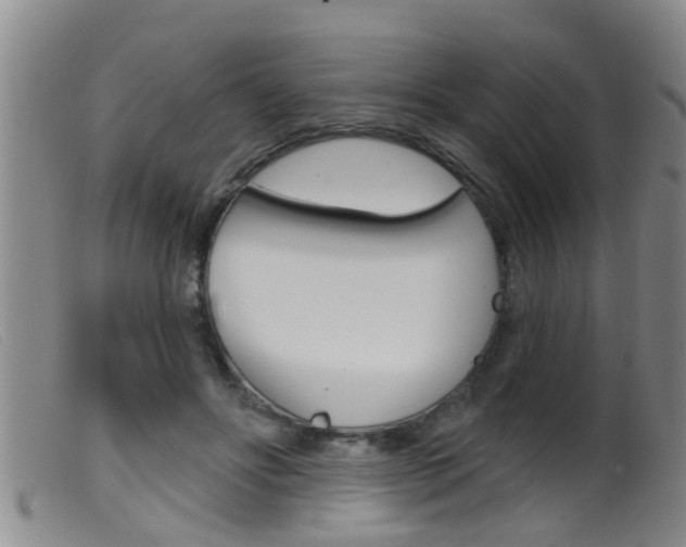 X0000099950502200805231005