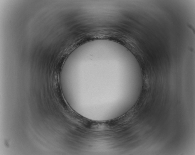 X0000099950503200805231005
