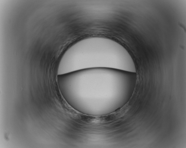 X0000099950504200805231005